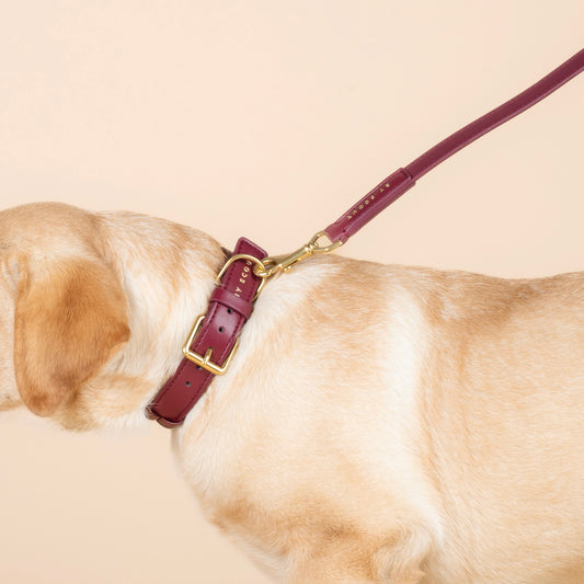 Mela Caspita verstellbare Leine