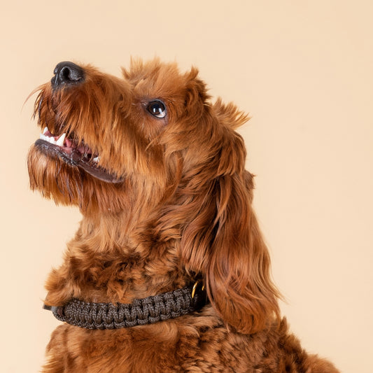 TOUCH OF LEATHER Halsband