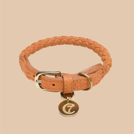 Hundehalsband Ravello