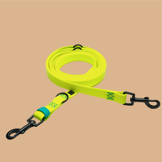 Hundeleine verstellbar BioThane Ipanema