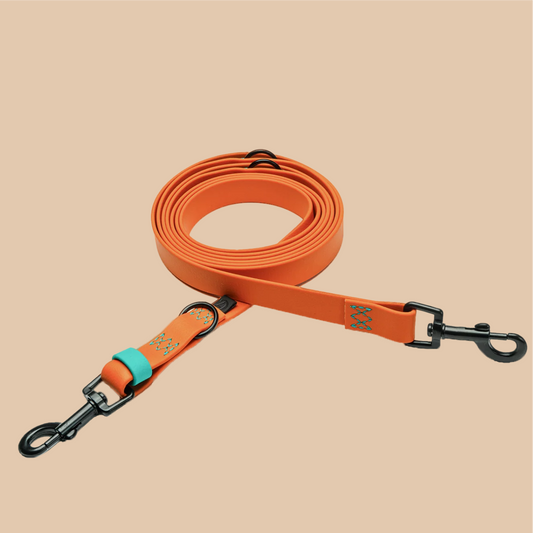 Hundeleine verstellbar BioThane Ipanema