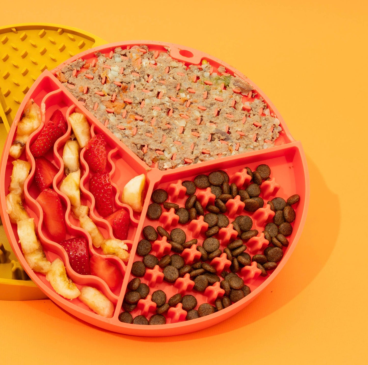 Die Abenteuer Schleckmatte - Koralle