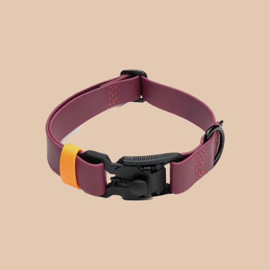 Hundehalsband BioThane Ipanema