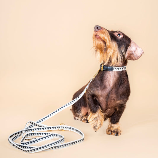 Nice Grill verstellbare Leine