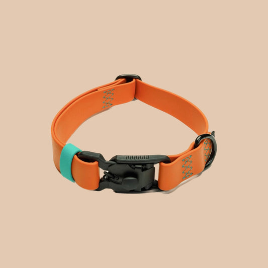 Hundehalsband BioThane Ipanema