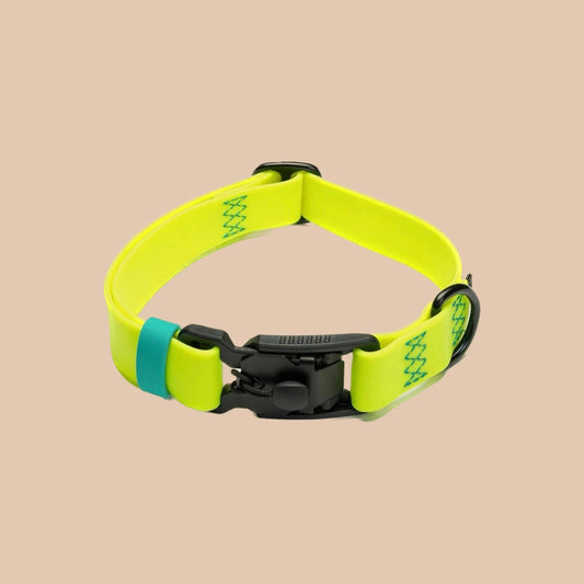 Hundehalsband BioThane Ipanema