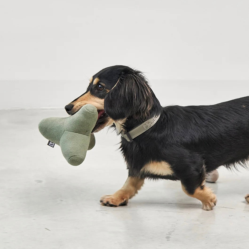 MiaCara Quattro Hundespielzeug