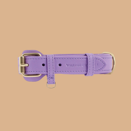 William Walker Lederhalsband