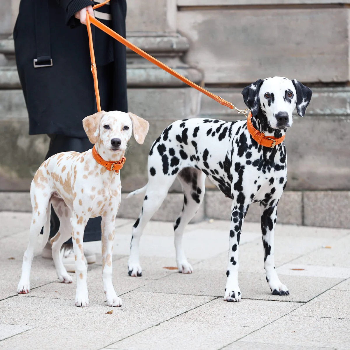 William Walker Lederleine