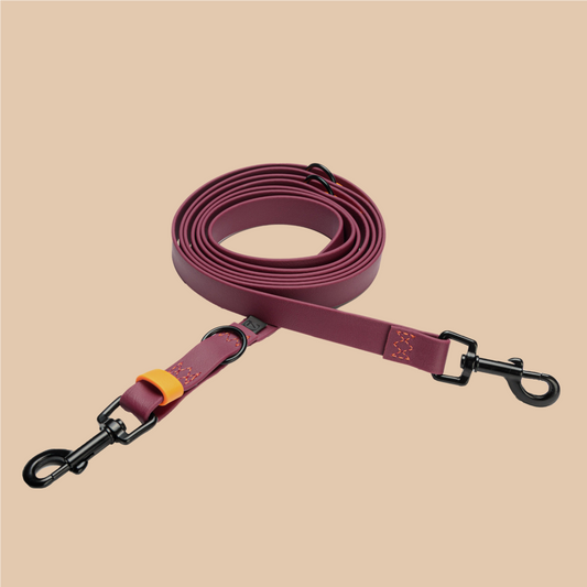 Hundeleine verstellbar BioThane Ipanema