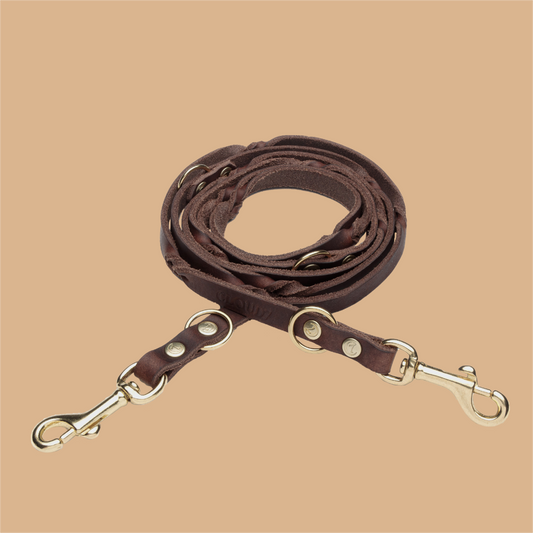 Hundeleine Riverside Park Saddle Gold