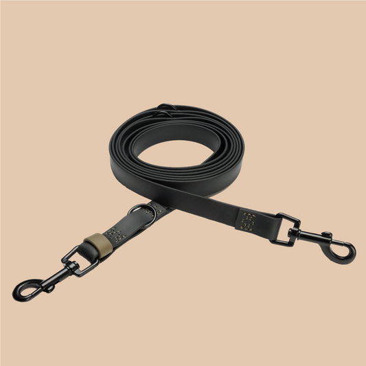 Hundeleine verstellbar BioThane Ipanema