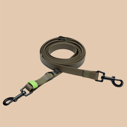 Hundeleine verstellbar BioThane Ipanema