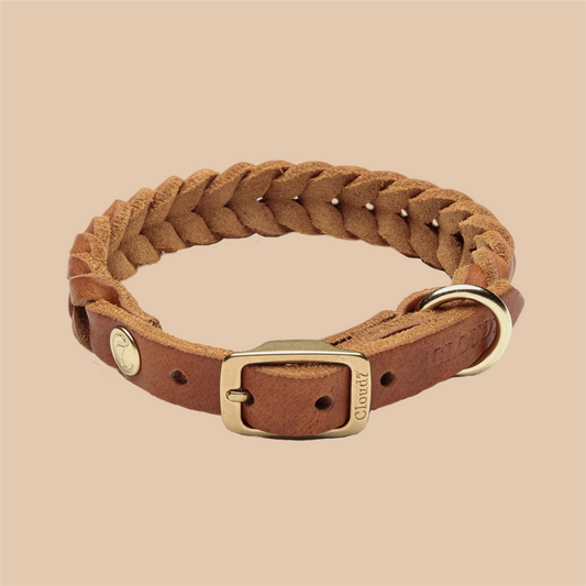 Hundehalsband Central Park Saddle