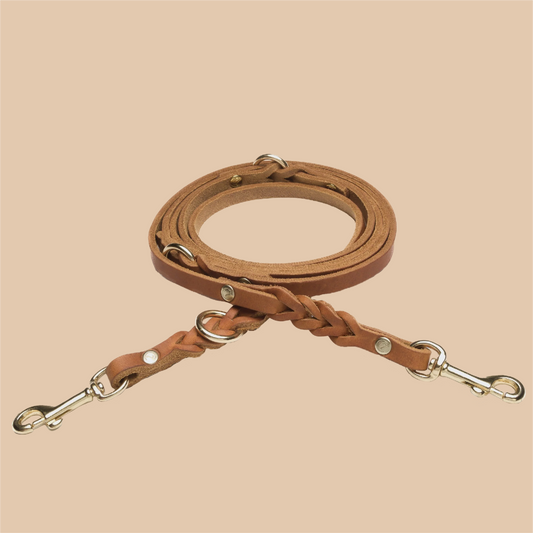 Hundeleine Riverside Park Saddle Gold