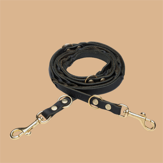 Hundeleine Riverside Park Saddle Gold