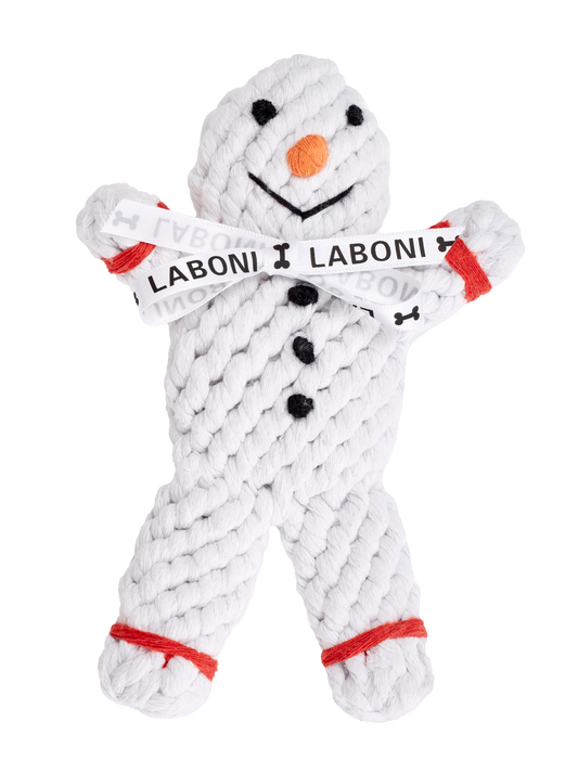 Shawn der Schneemann