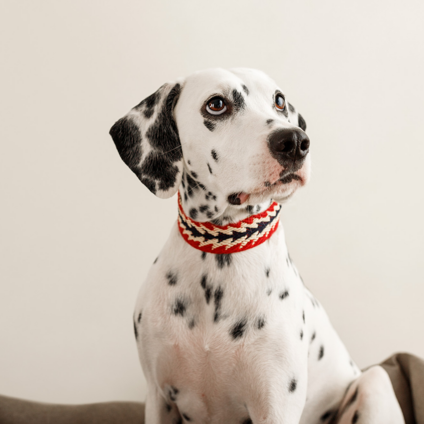 Peruanischer Pfeil Halsband