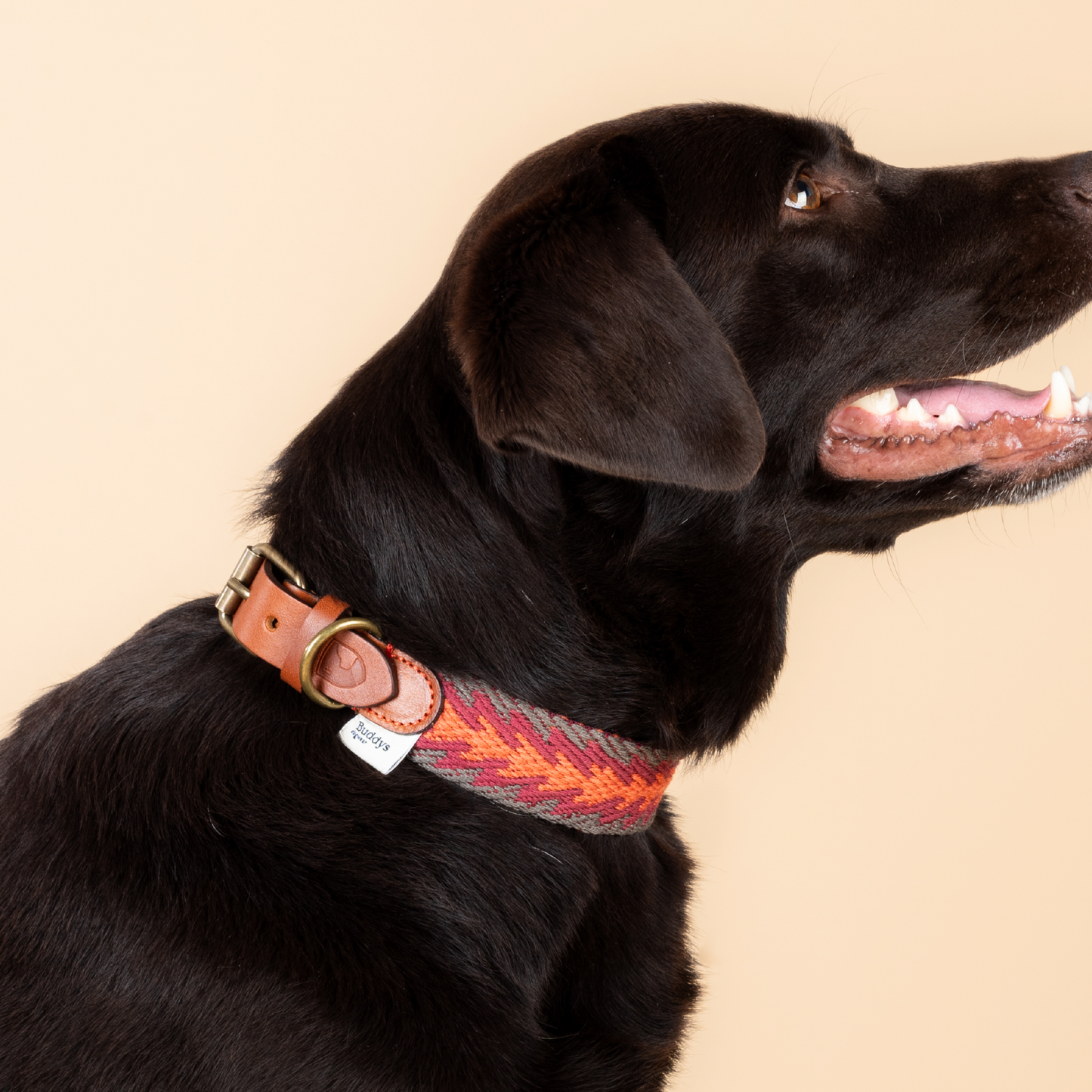Peruanischer Pfeil Halsband