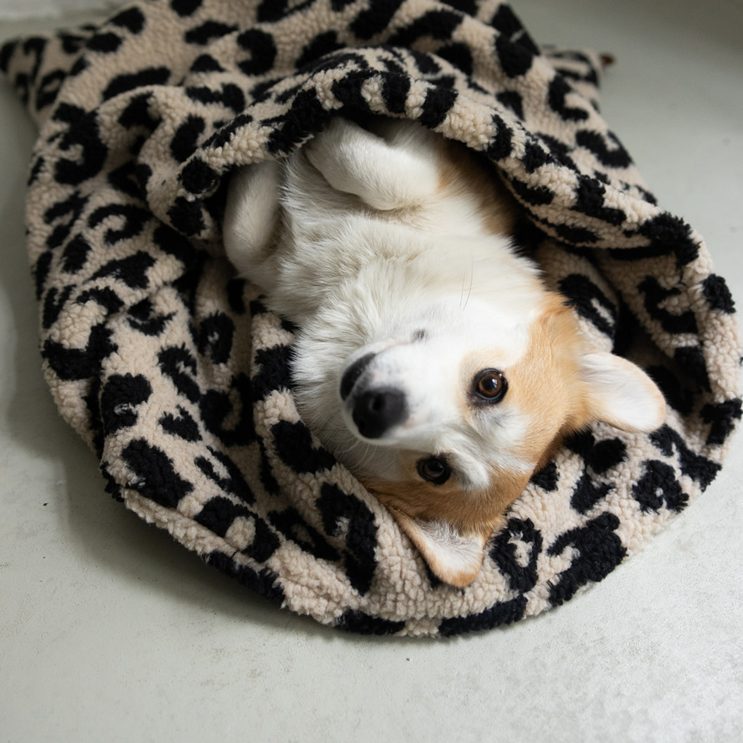 Kuschelschlafsack Teddy LEO Beige / Schwarz