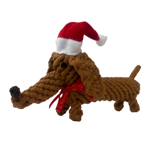Santa Sausage – der Weihnachtsdackel - LIMITED STOCK