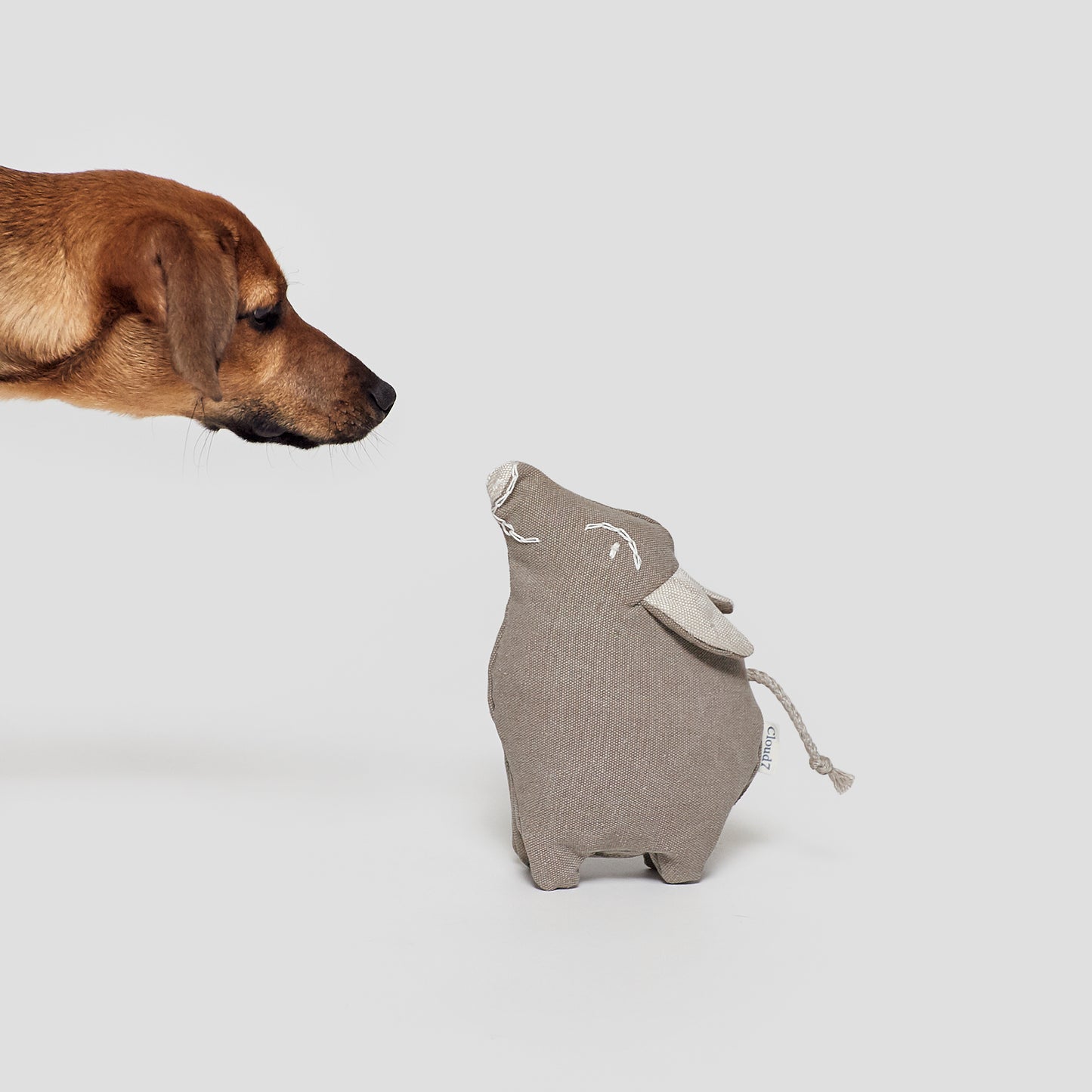 Hundespielzeug Schweinchen "Rosa" Canvas Sand