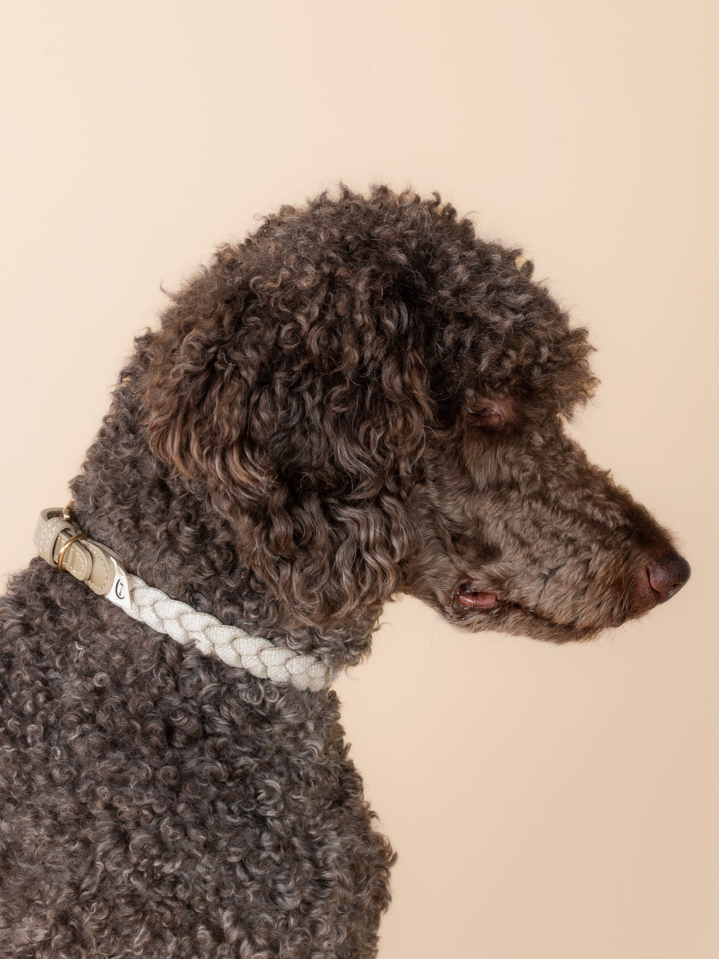 Hundehalsband Blomen Nature