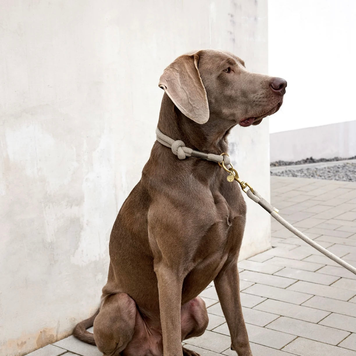 Hundehalsband geflochten - MILA NATUR