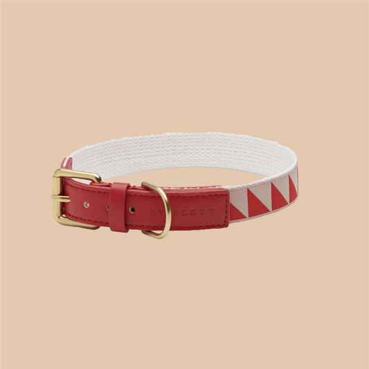 Nice Grill Halsband
