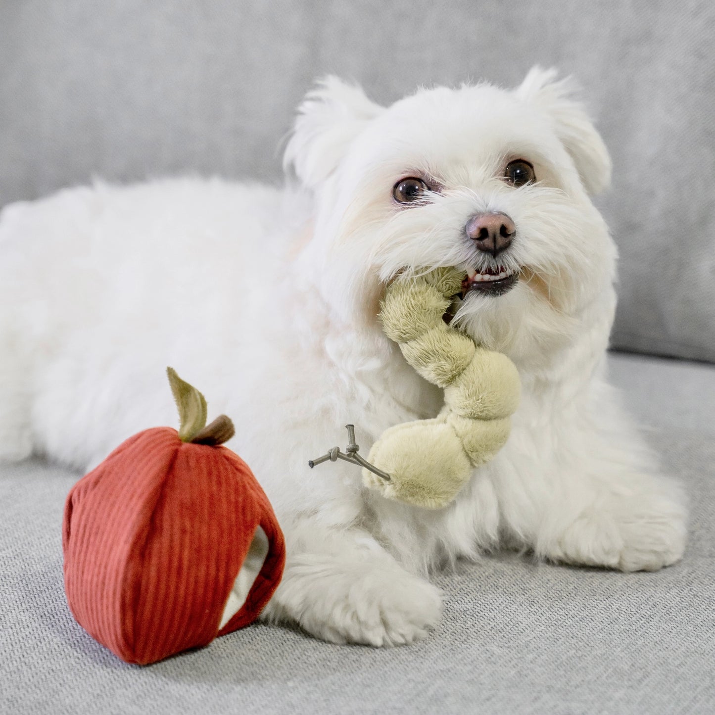 APFEL SCHNÜFFELSPIELZEUG