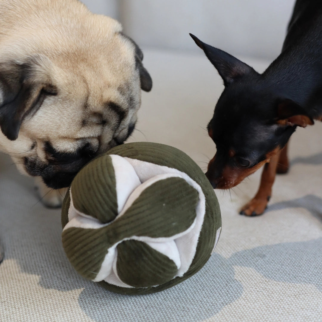 MONTI SCHNÜFFELBALL